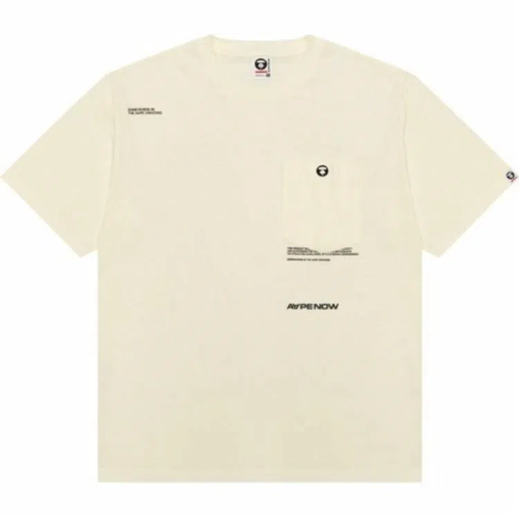 Aape T