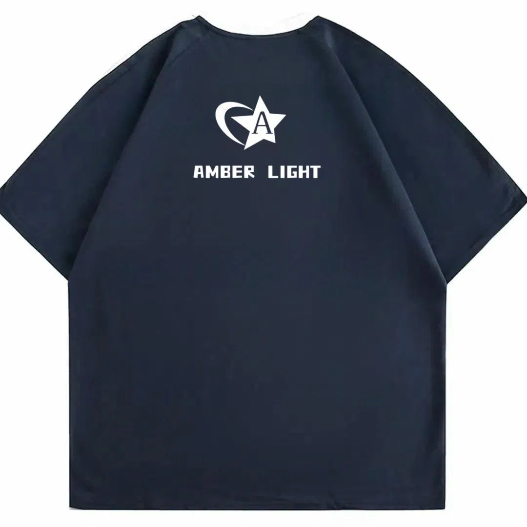 AMBER LIGHT logoT
