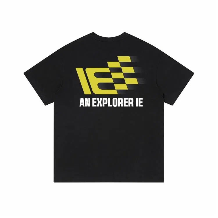 IE logoT