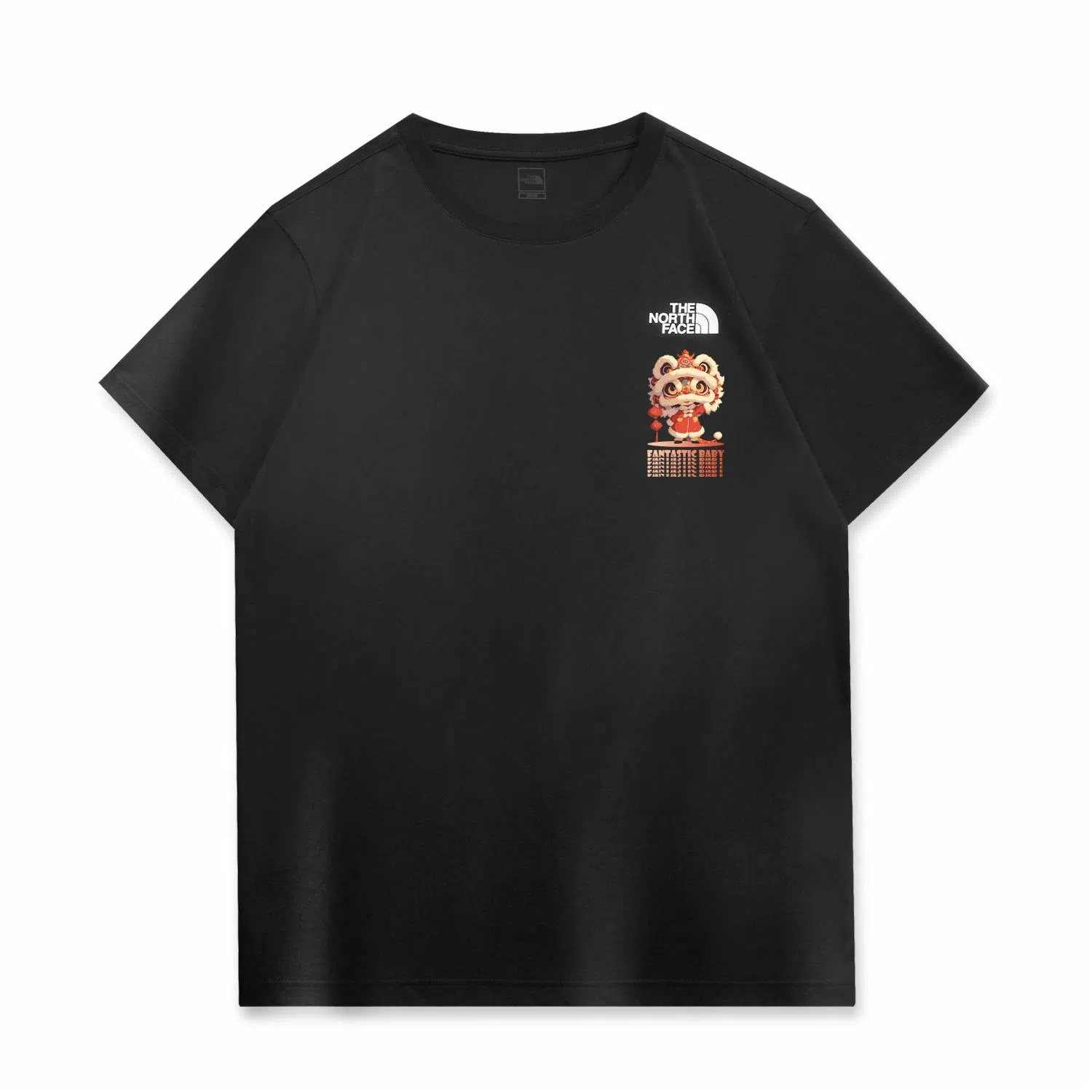 THE NORTH FACE CNYT