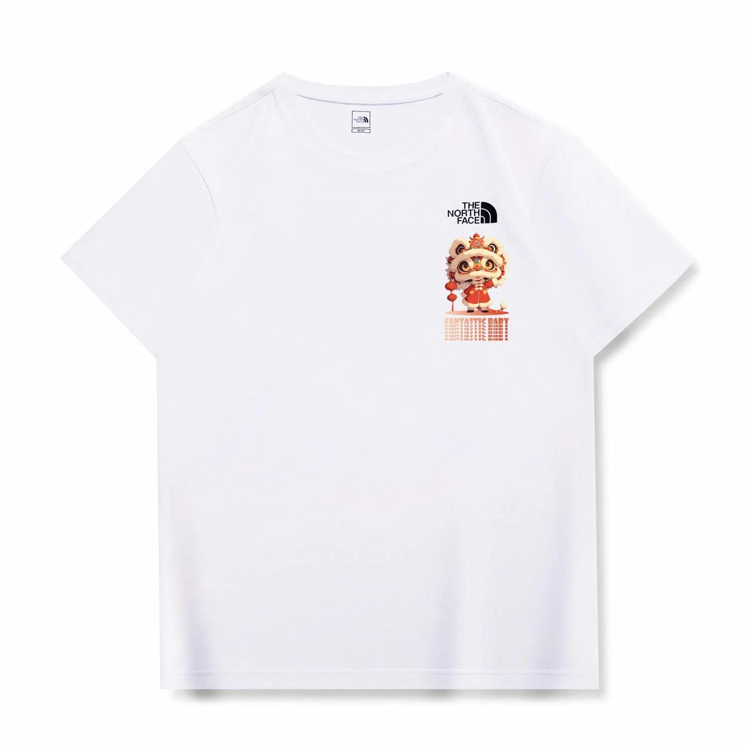 THE NORTH FACE CNYLogoT