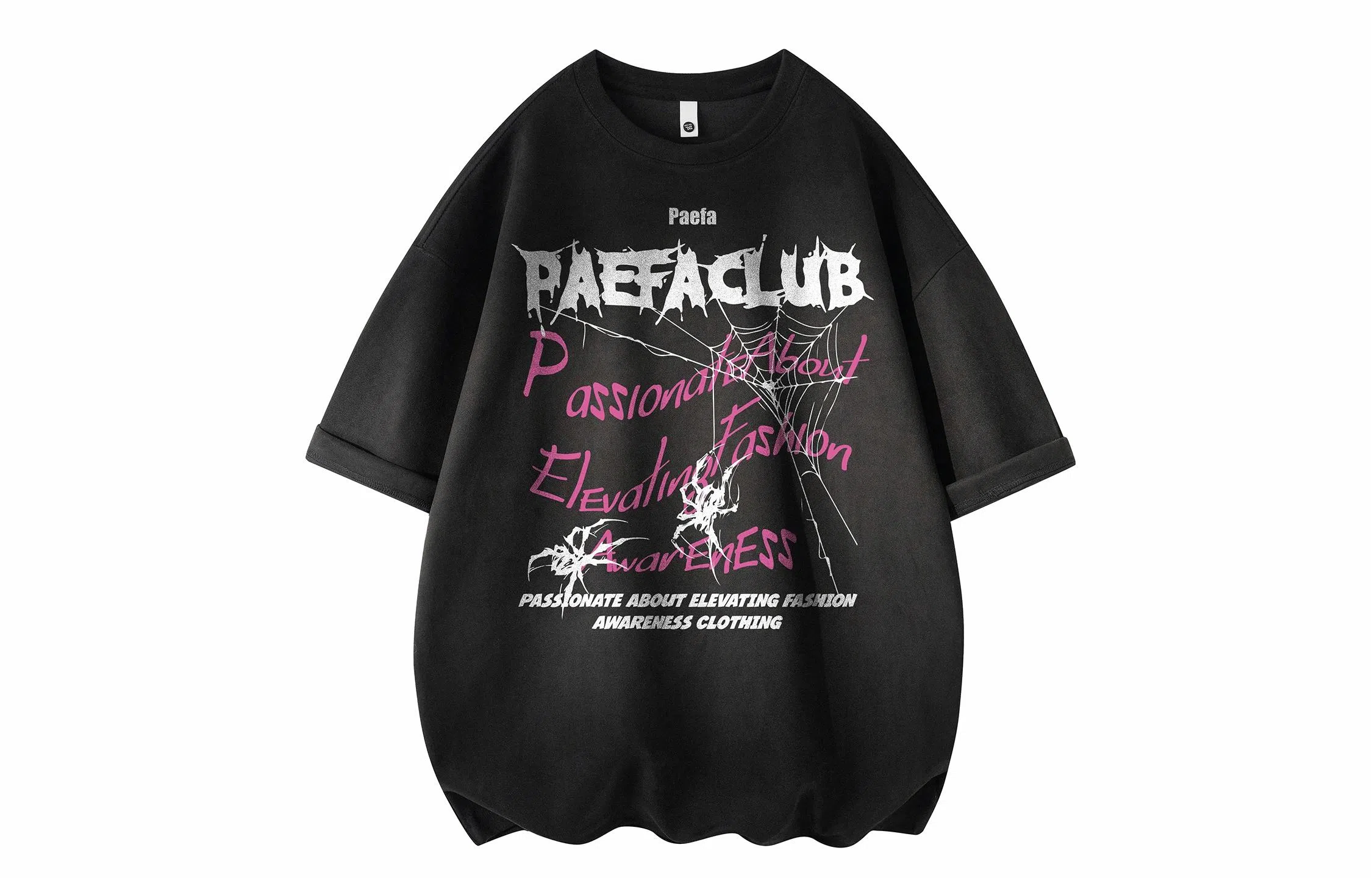 PAEFA Logo T