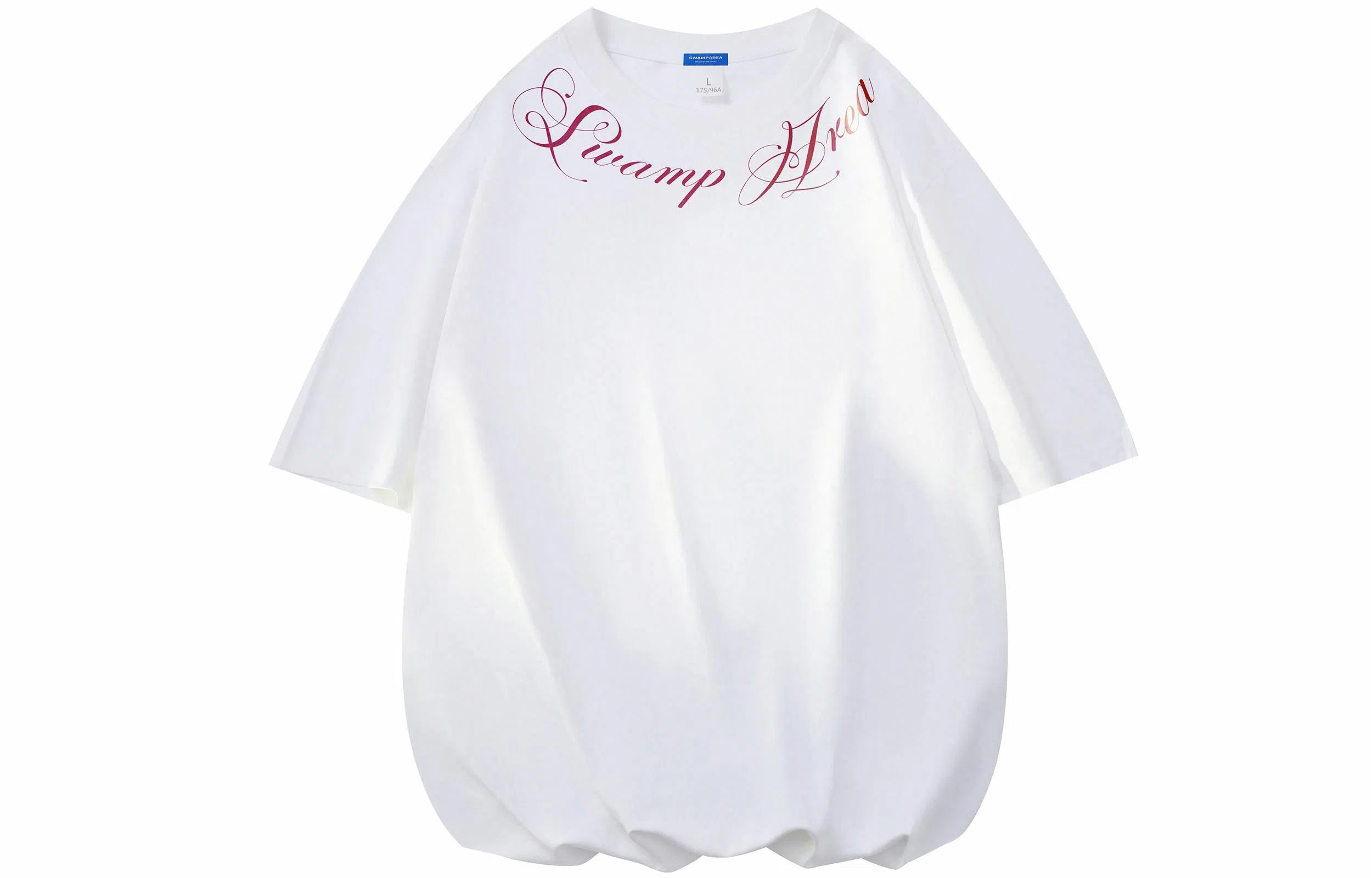 SWAMP AREA cleanfitT