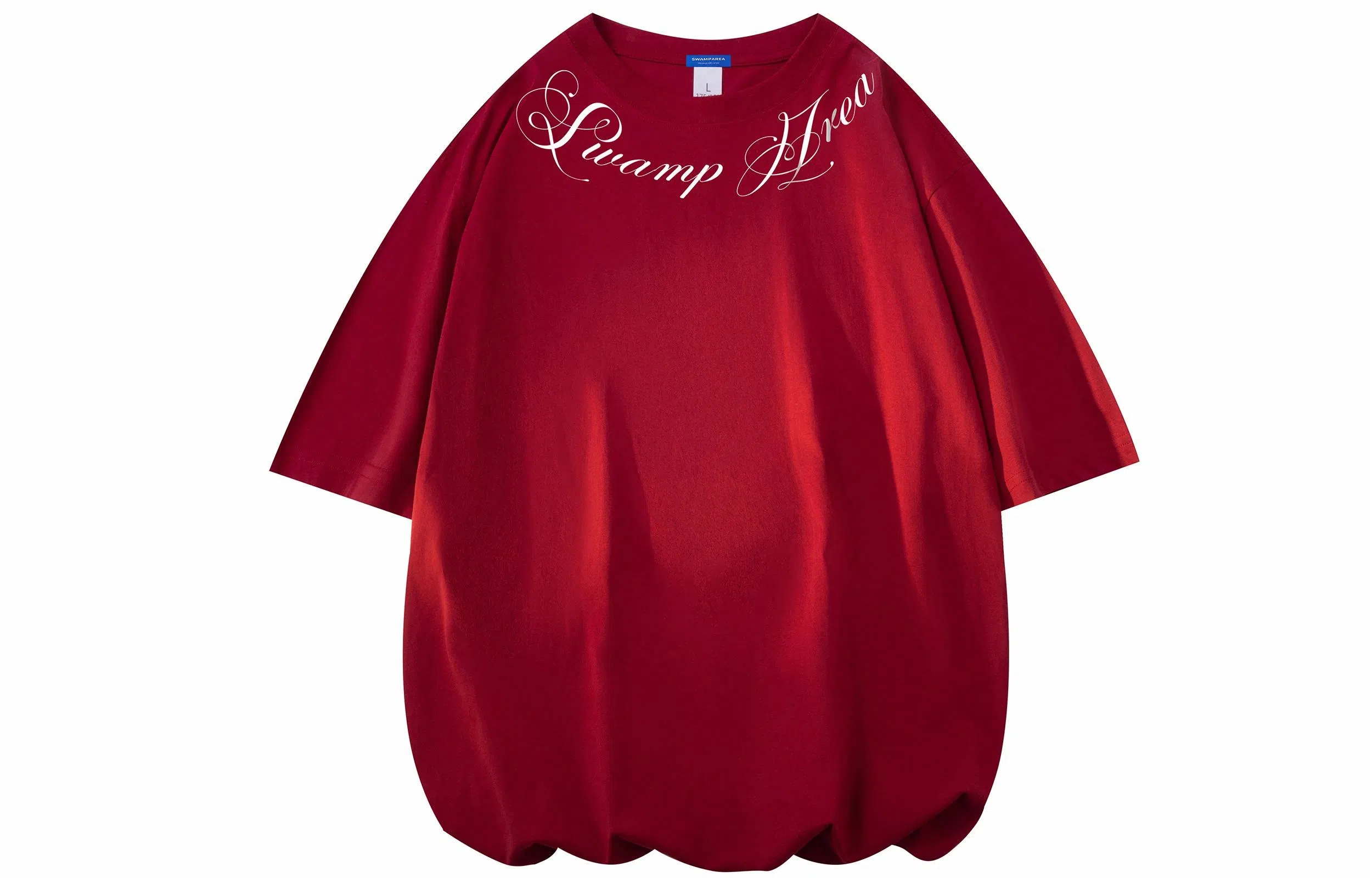 SWAMP AREA cleanfitT