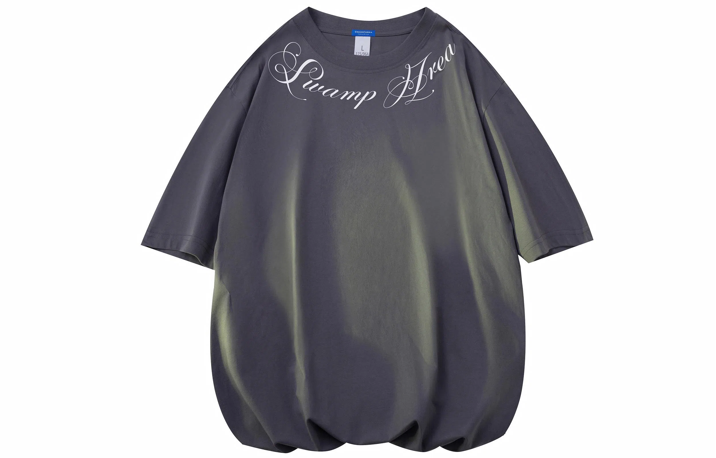 SWAMP AREA cleanfitT