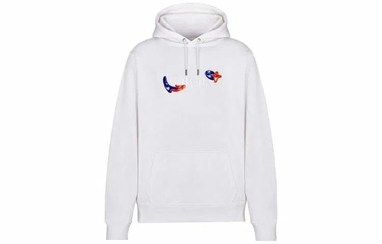 DIOR x KENNY FW21 Logo