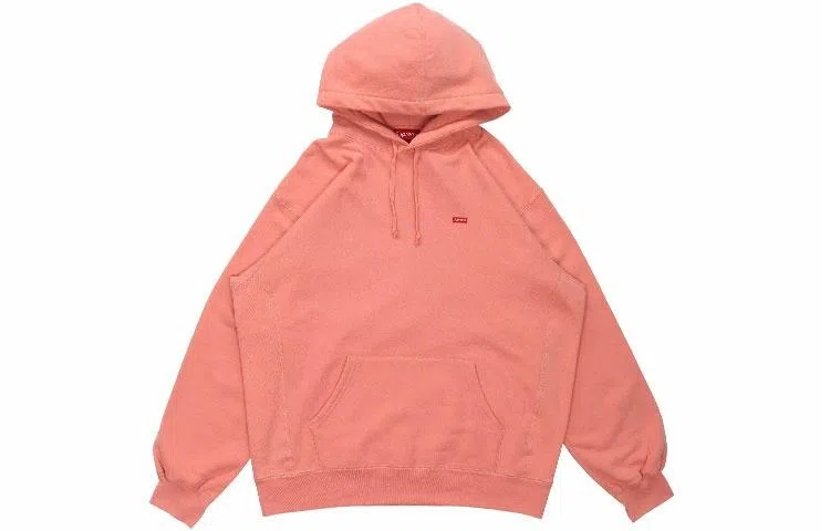 Supreme SS21 Week7 Small Box Hooded Sweatshirt Box Logo