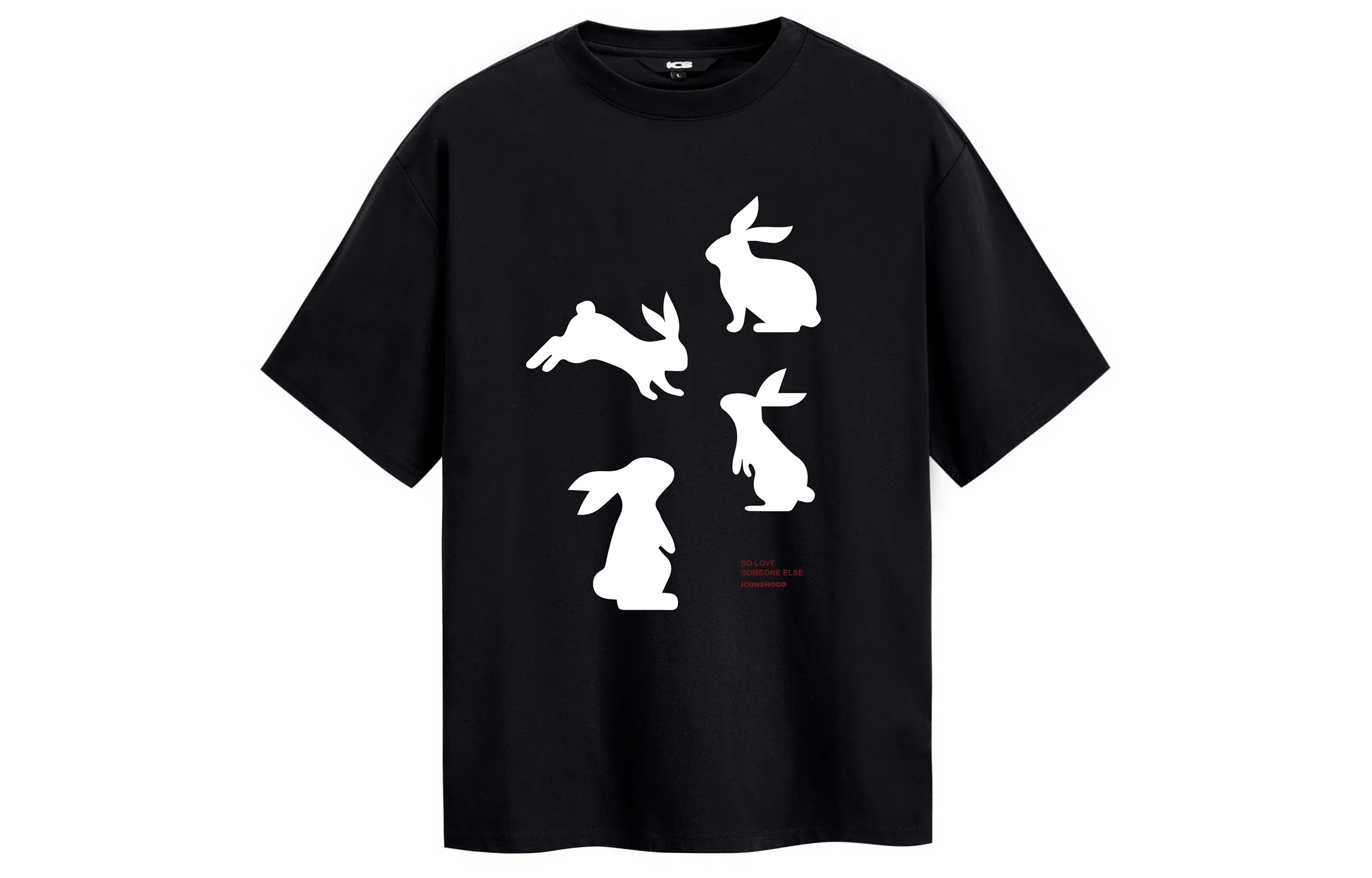 ICONS Lab T