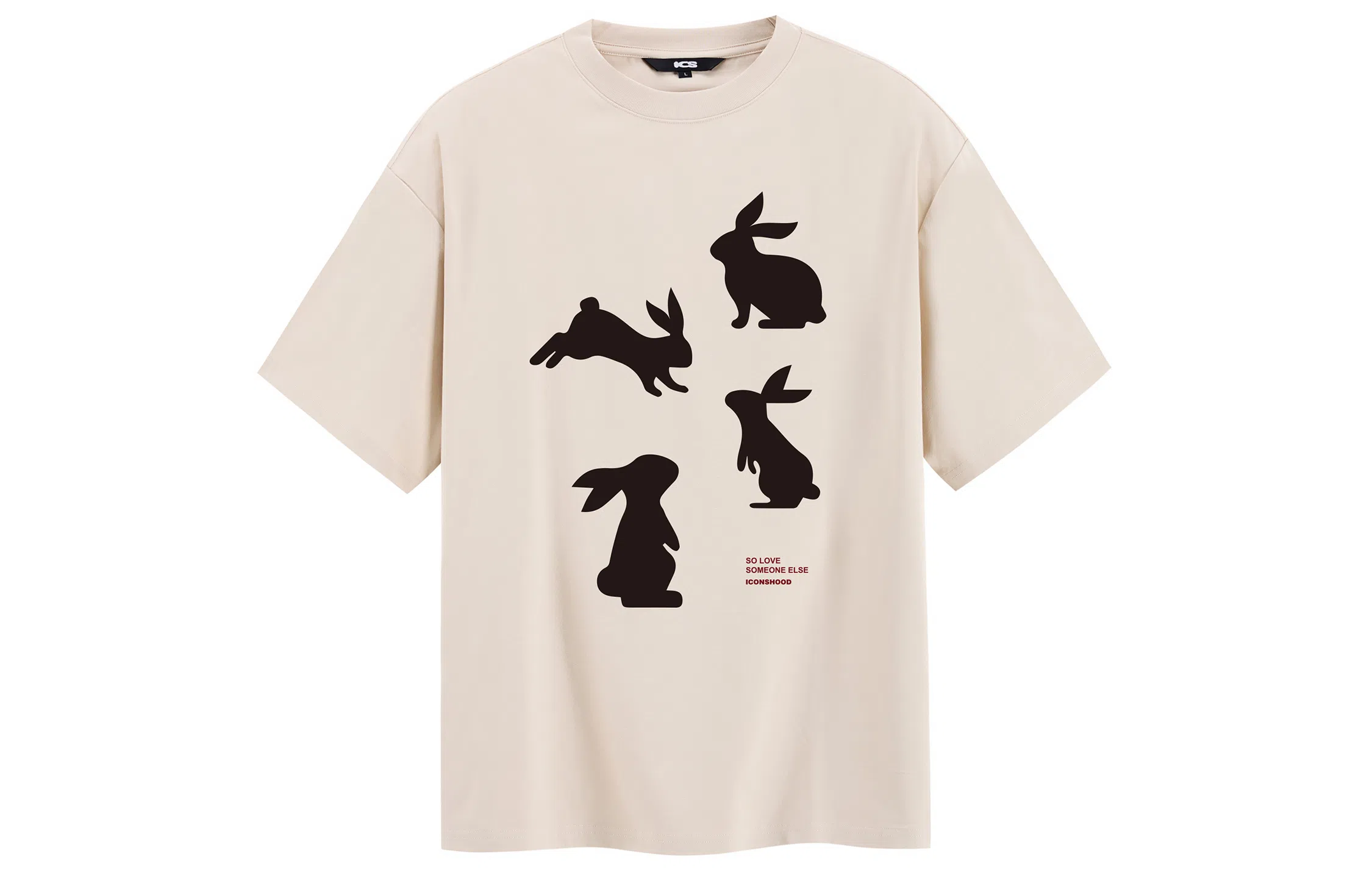 ICONS Lab T