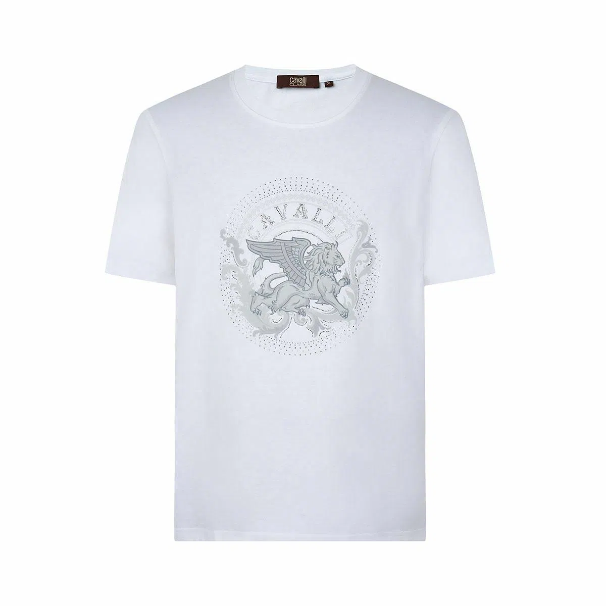 Cavalli Class T