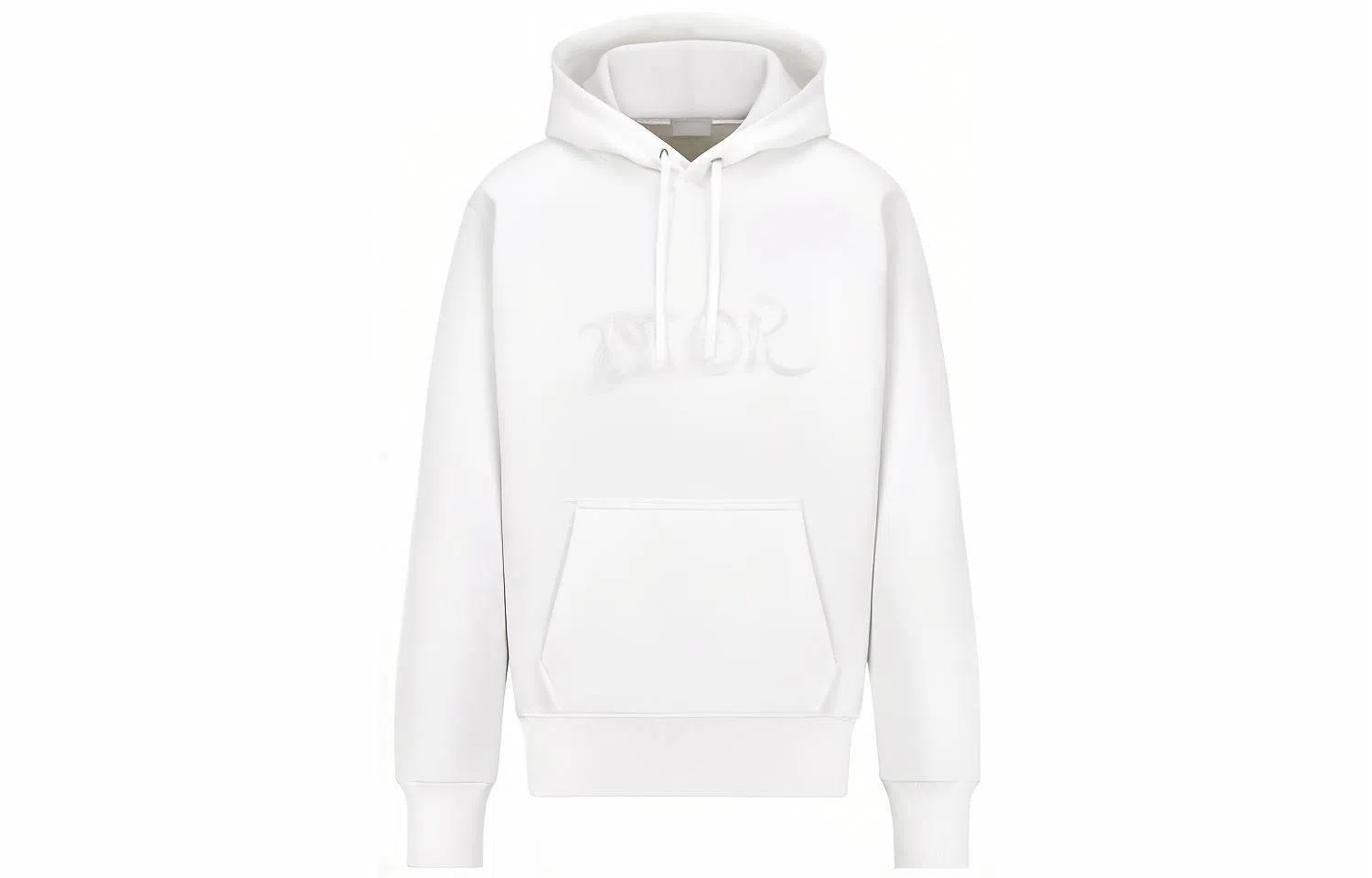 DIOR x PETER DOIG FW21 Logo