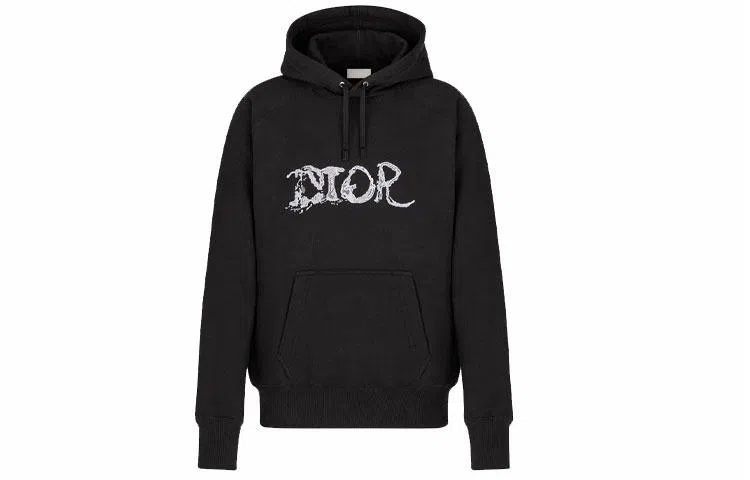 DIOR x PETER DOIG FW21 Logo