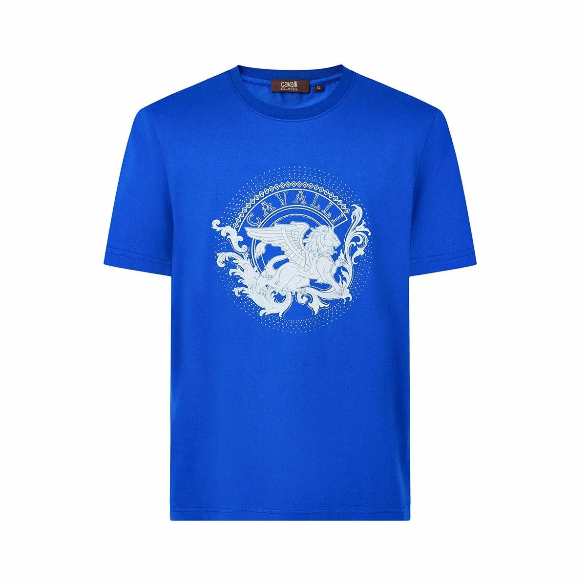 Cavalli Class T