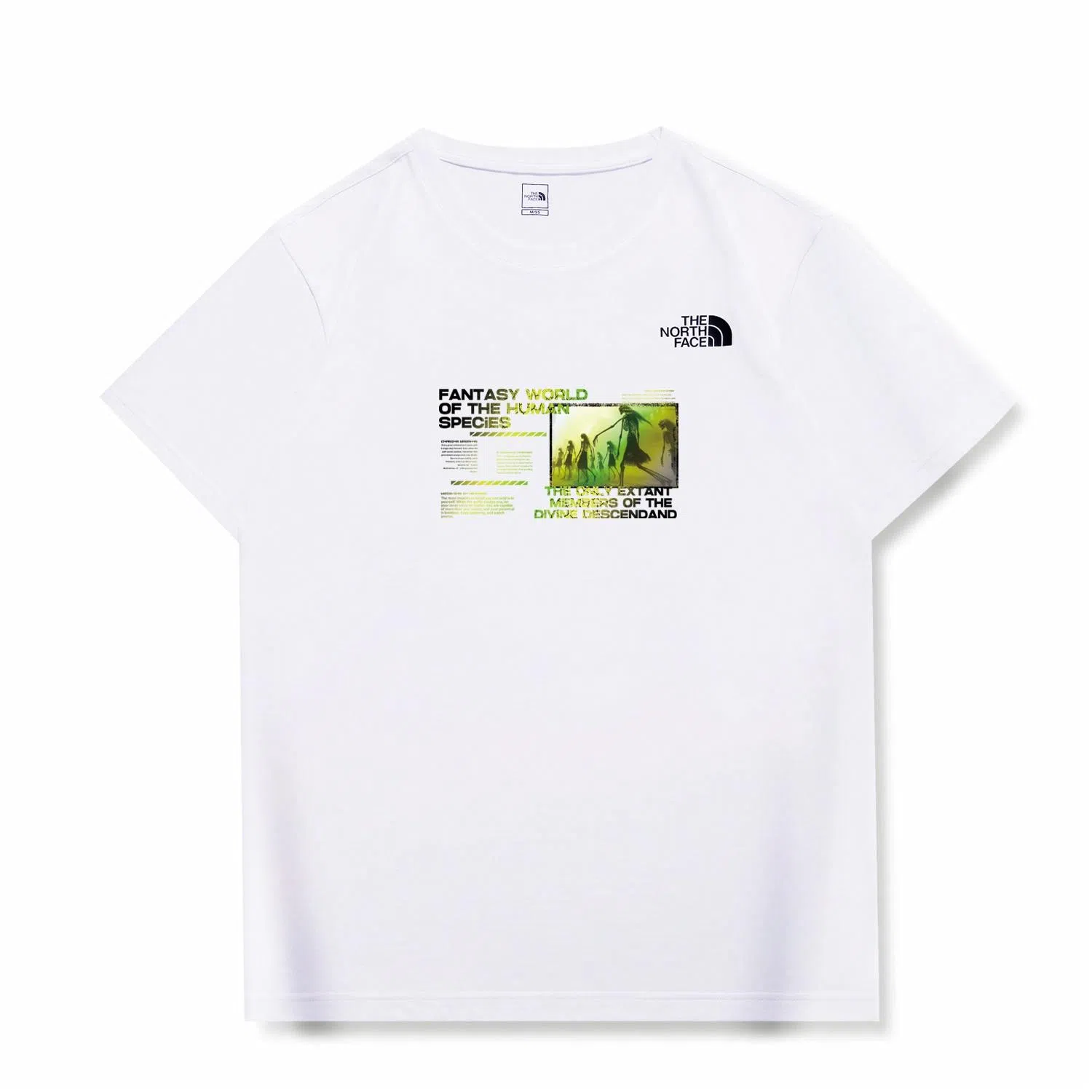 THE NORTH FACE VLogoT