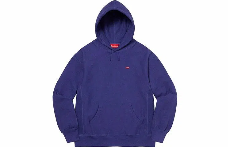Supreme FW21 Week 8 Small Box Hooded Sweatshirt Logo
