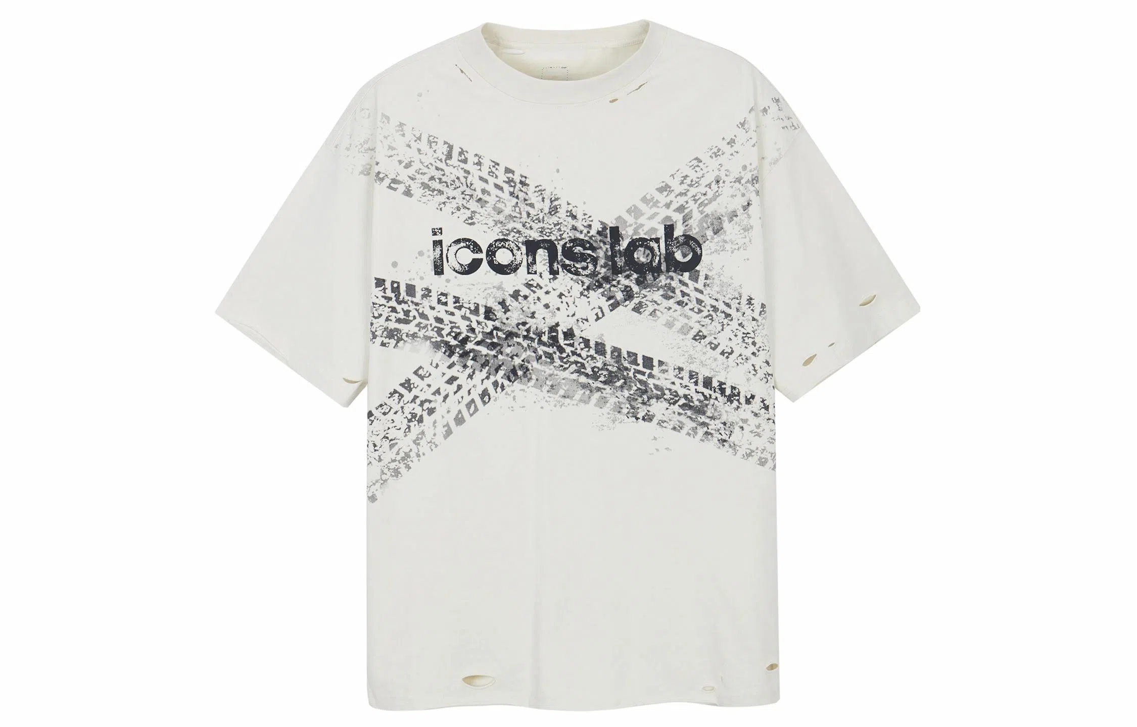 ICONS Lab T