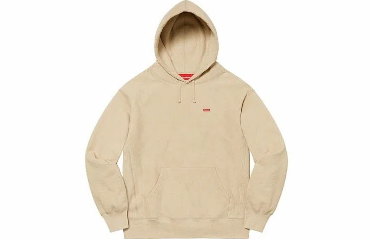 Supreme FW21 Week 8 Small Box Hooded Sweatshirt Logo