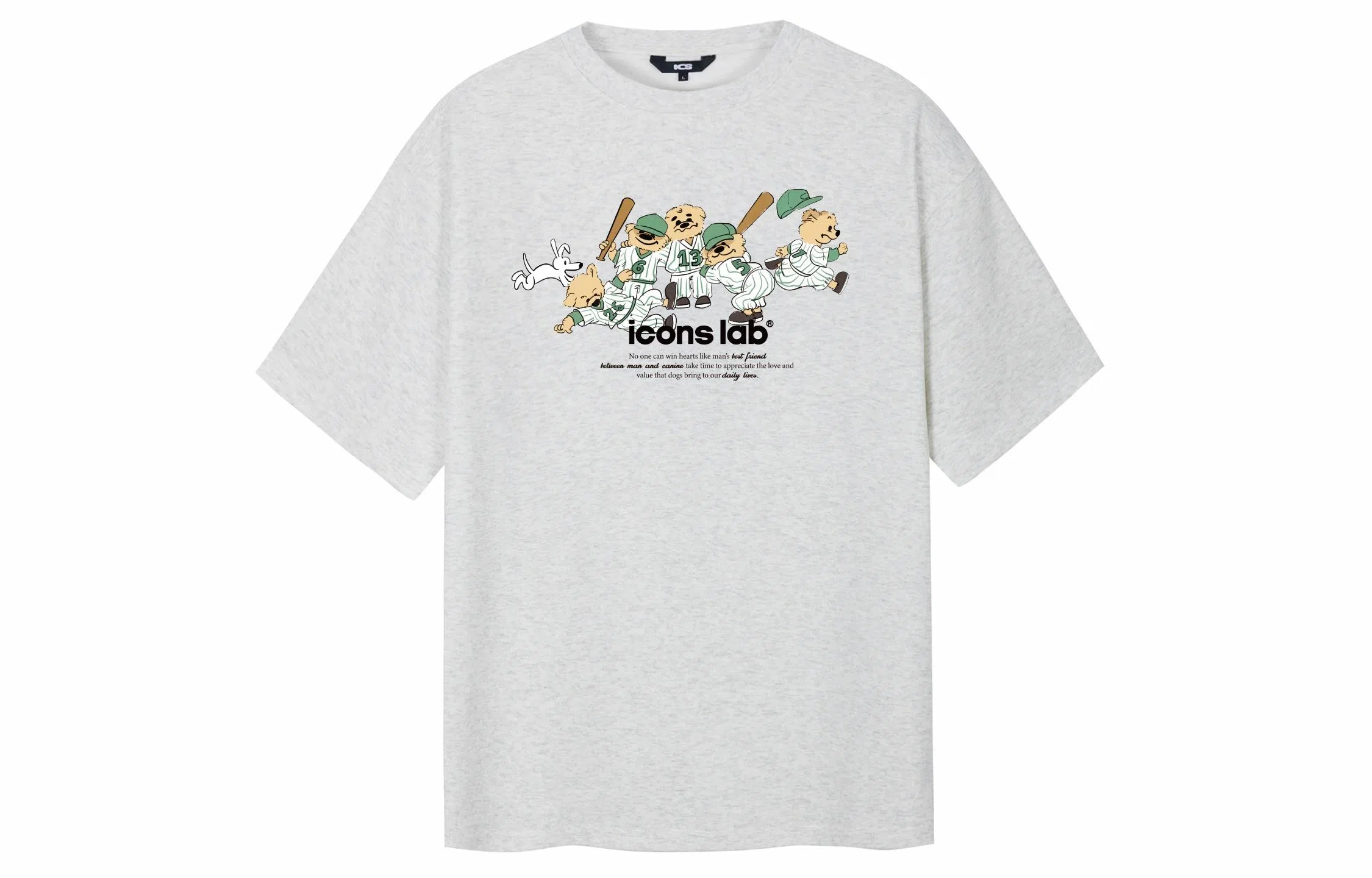 ICONS Lab T