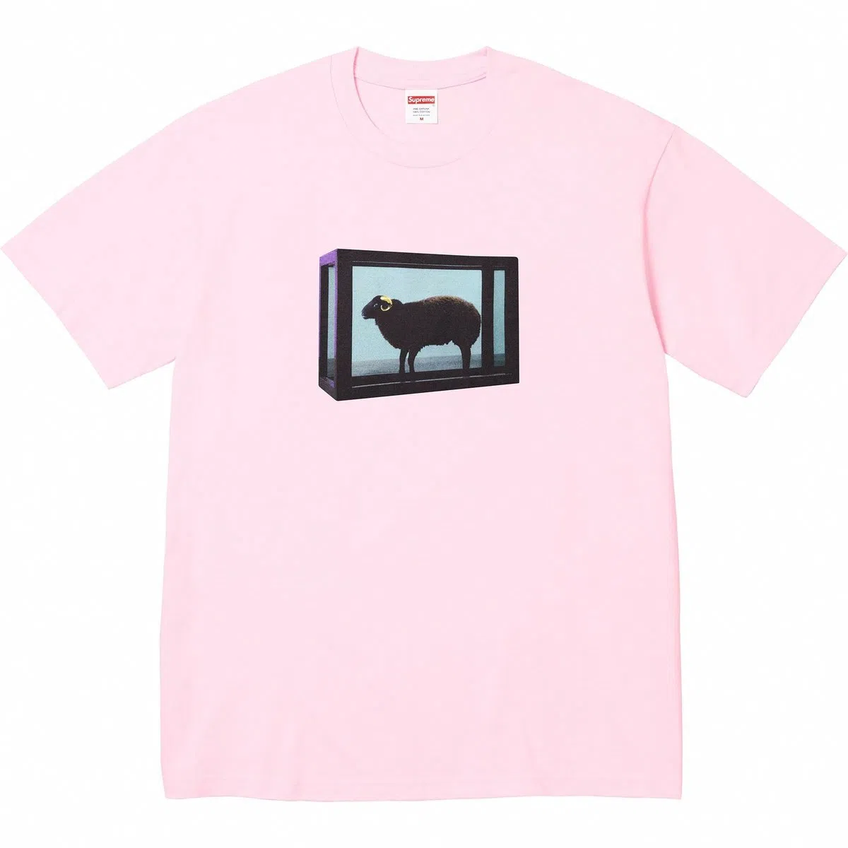 Supreme x Damien Hirst Tee