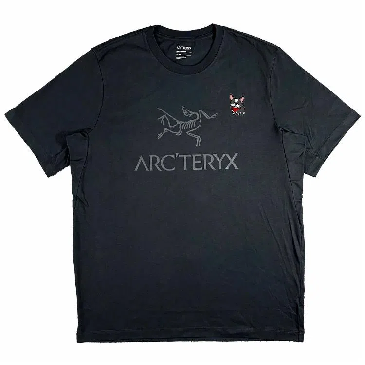 Arcteryx T