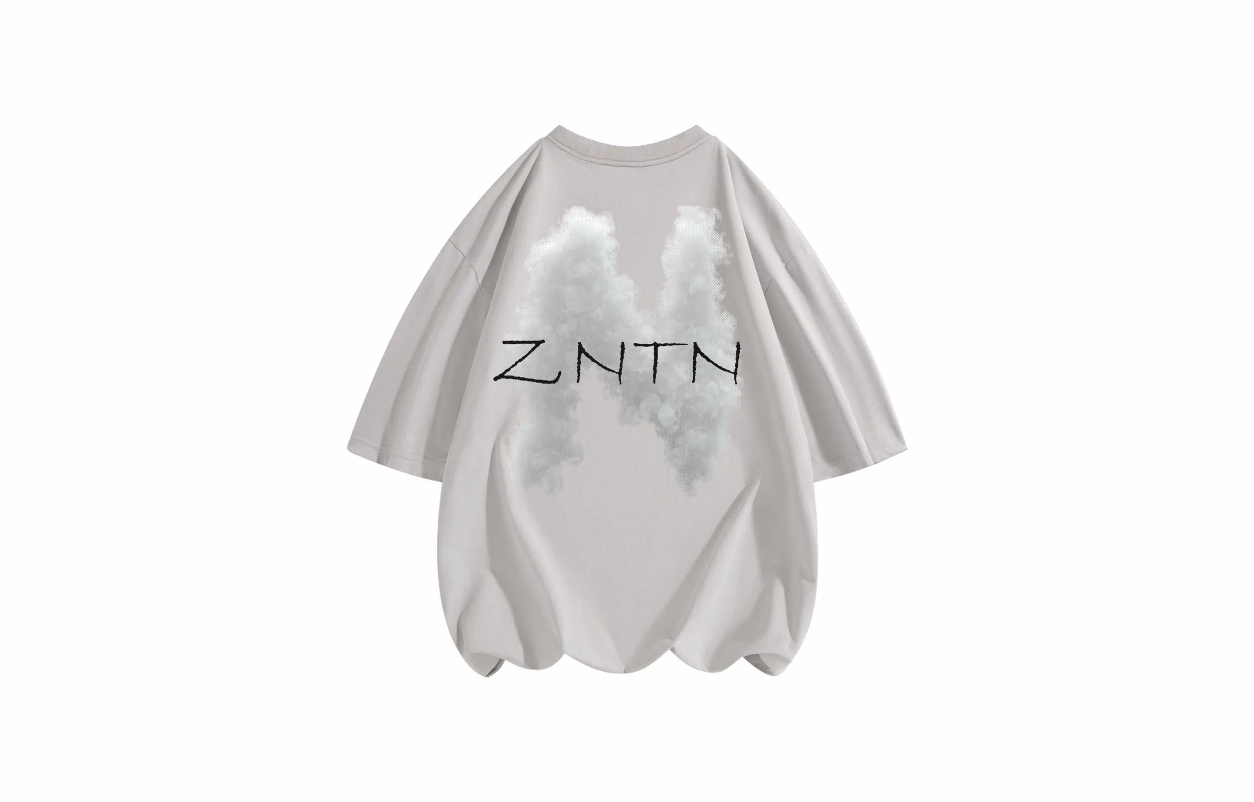 ZNTN T