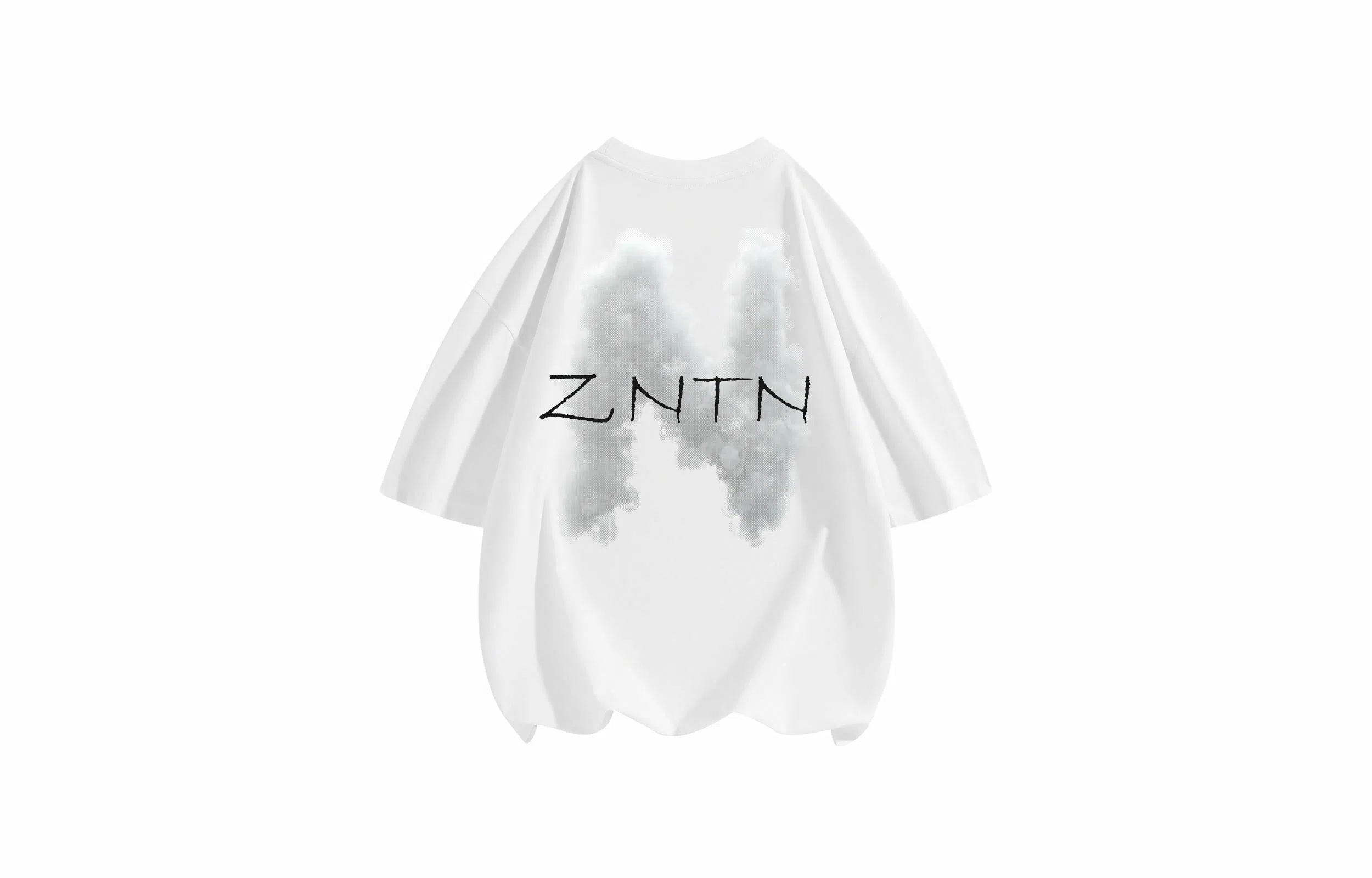 ZNTN T