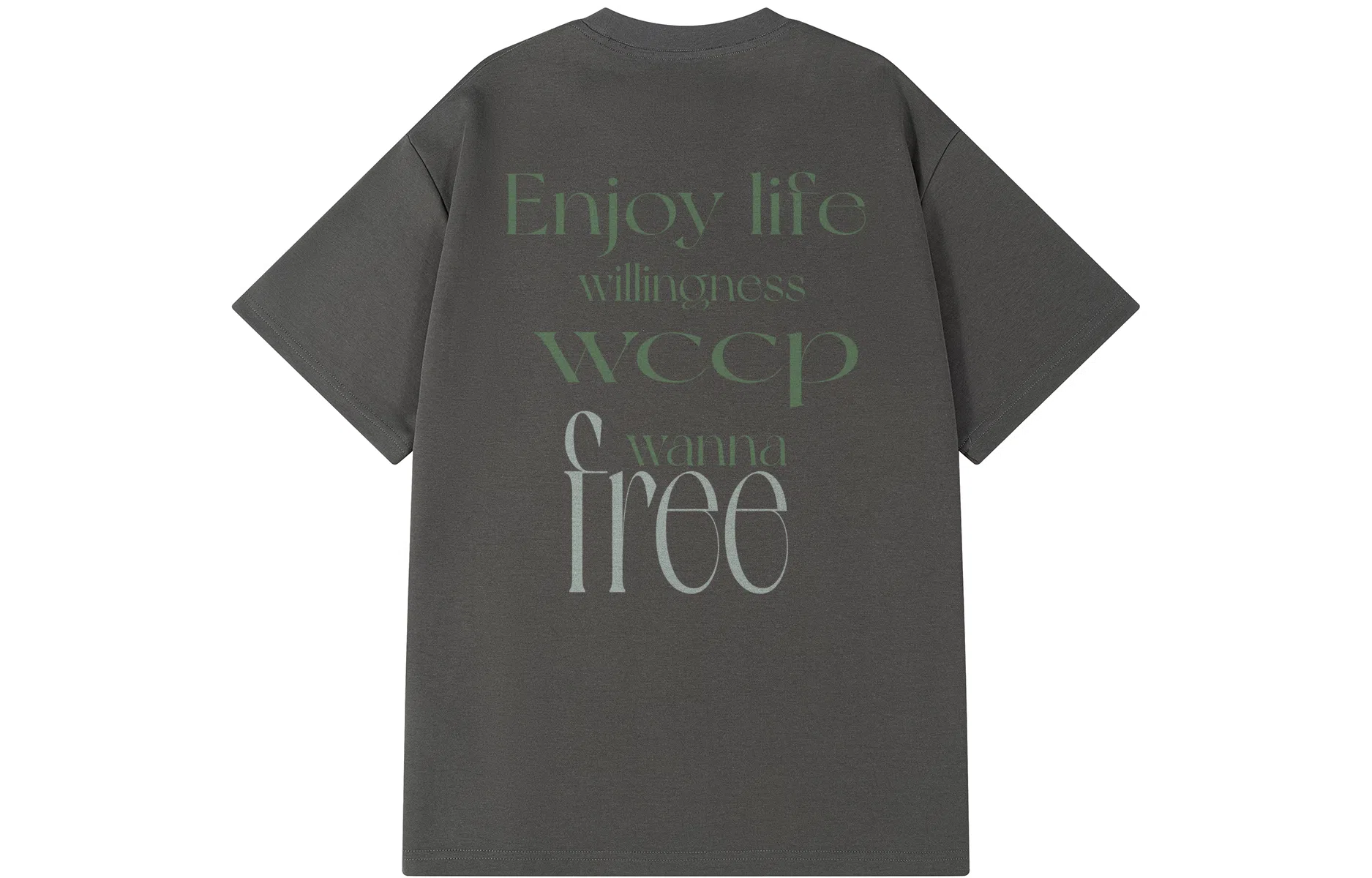 WANCHAO CP logoinsT