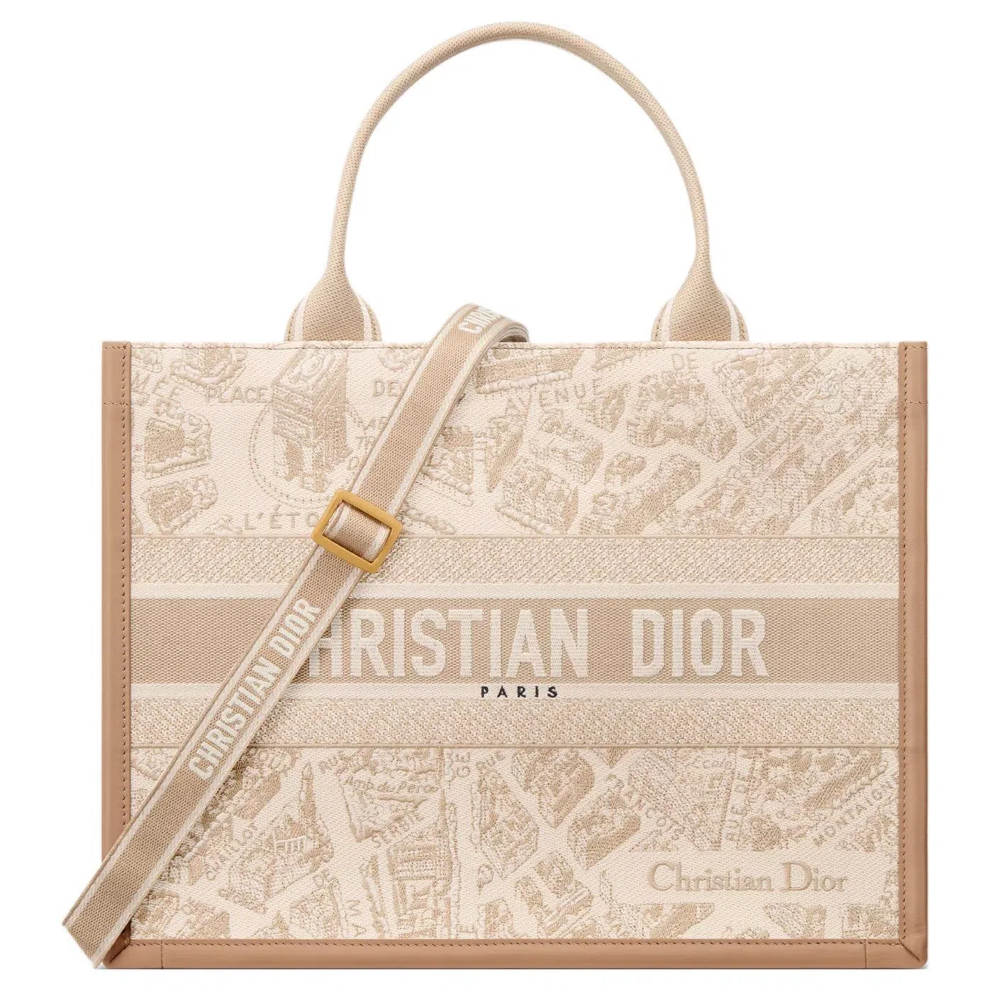 DIOR BookTote Tote