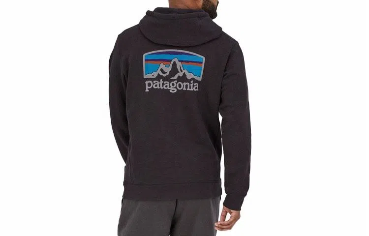 Patagonia Fitz Roy Logo Hoodie