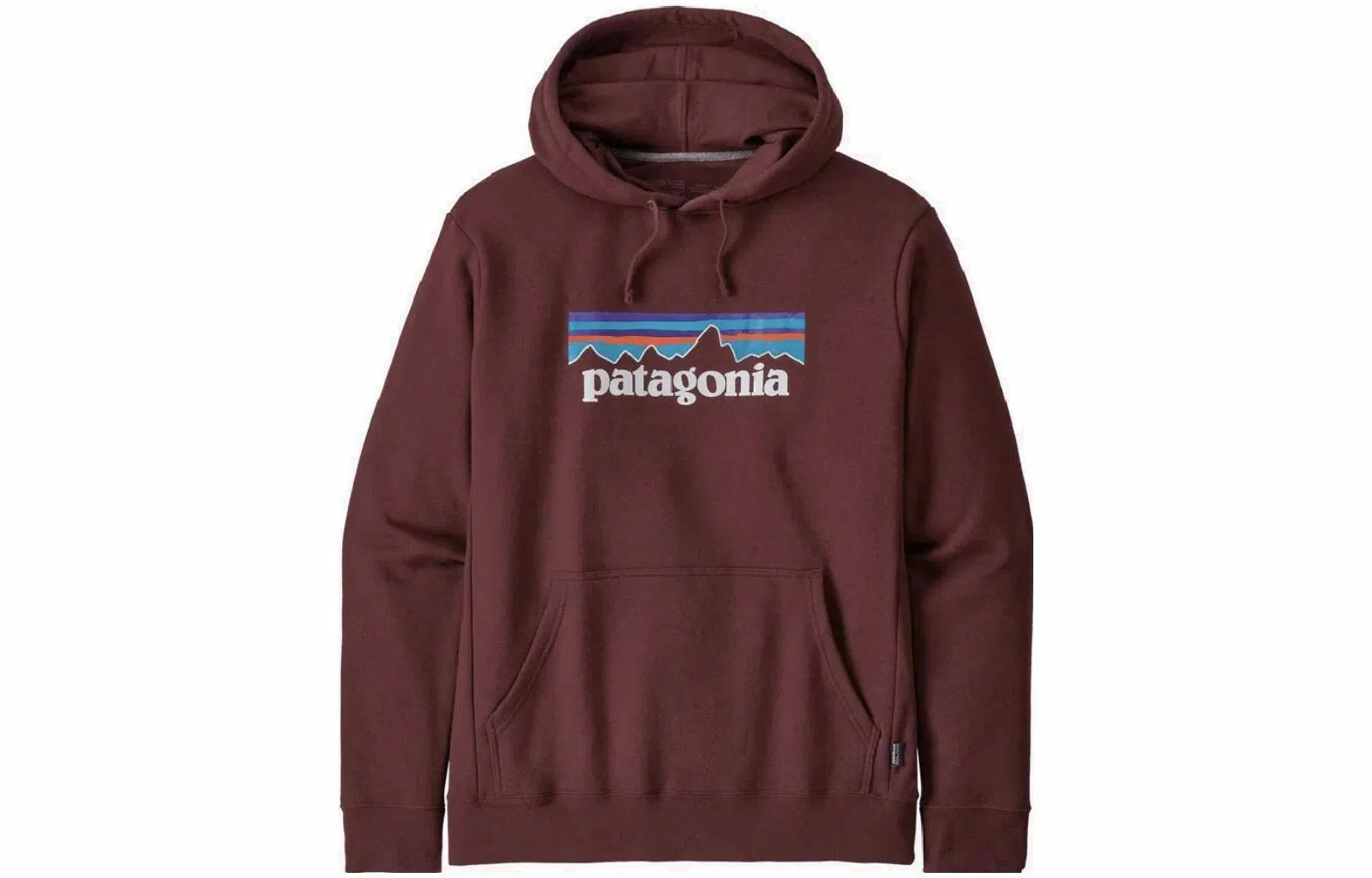 Patagonia Logo Hoodie