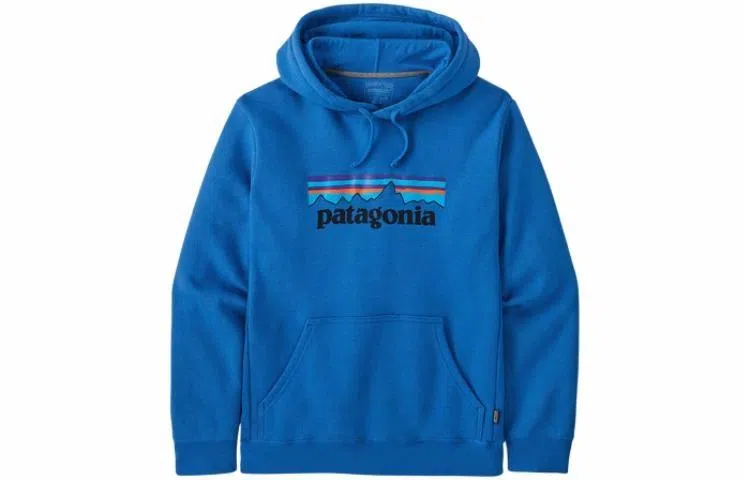 Patagonia Logo Hoodie