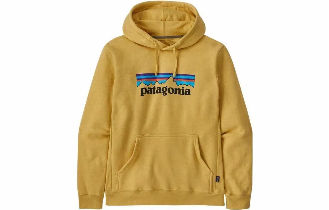 patagonia SS22 Logo