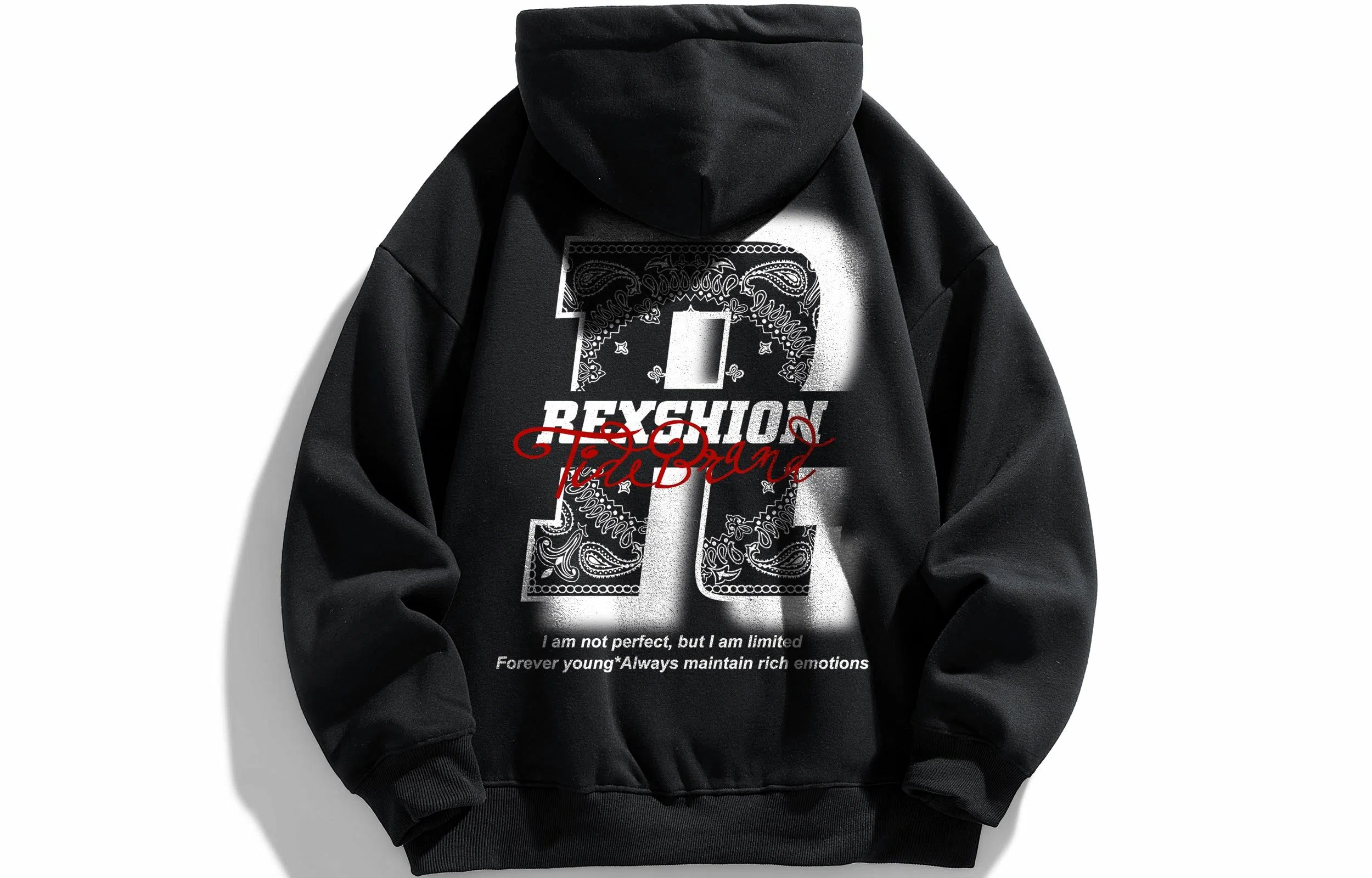 REXSHION Logo