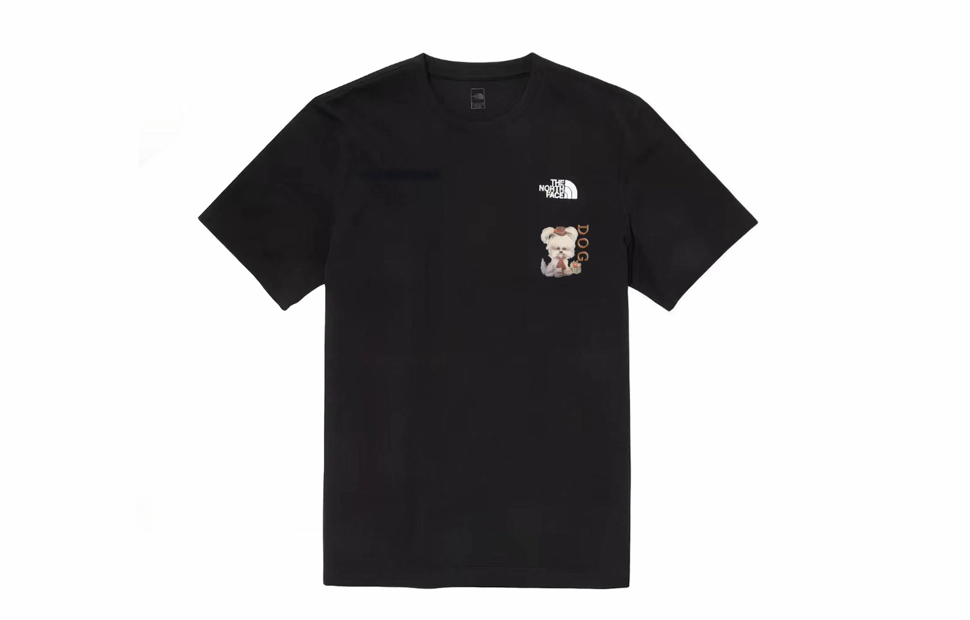 THE NORTH FACE YXYY T