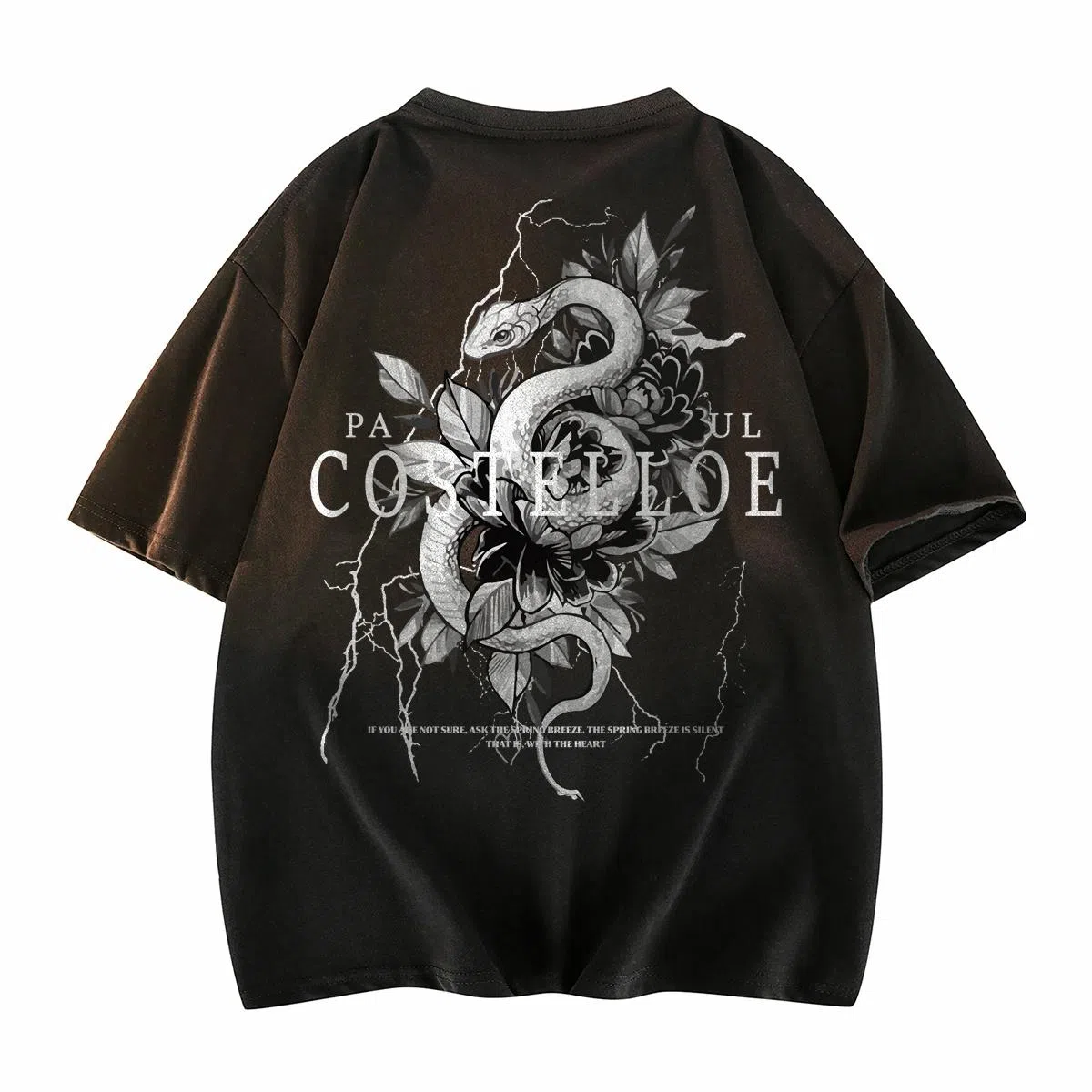 PAUL COSTELLOE T