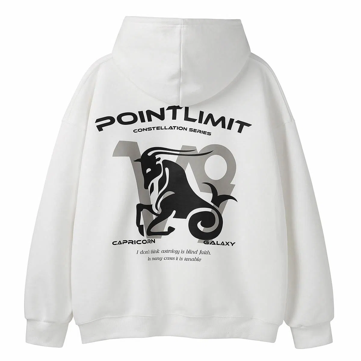 POINTLIMIT Logo
