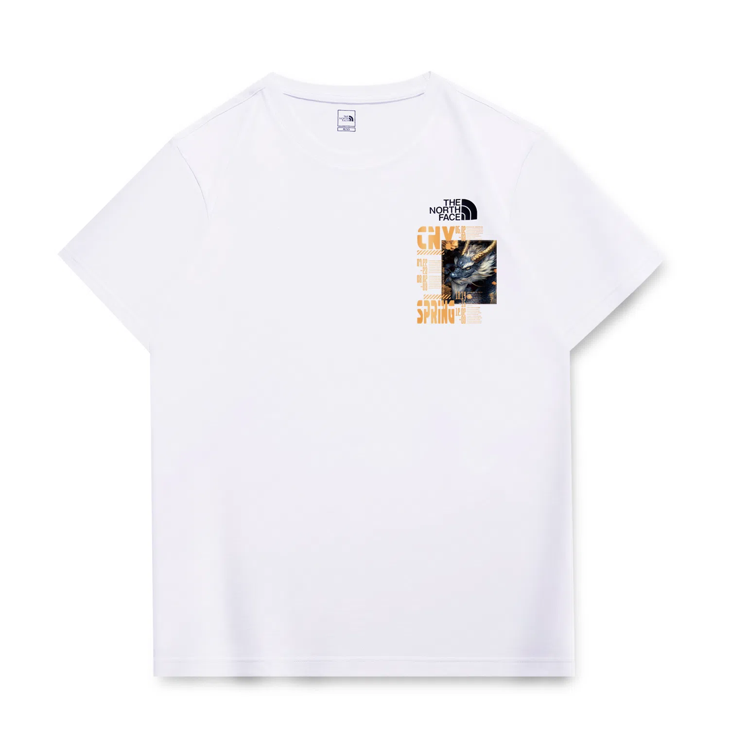 THE NORTH FACE CNYLogoT