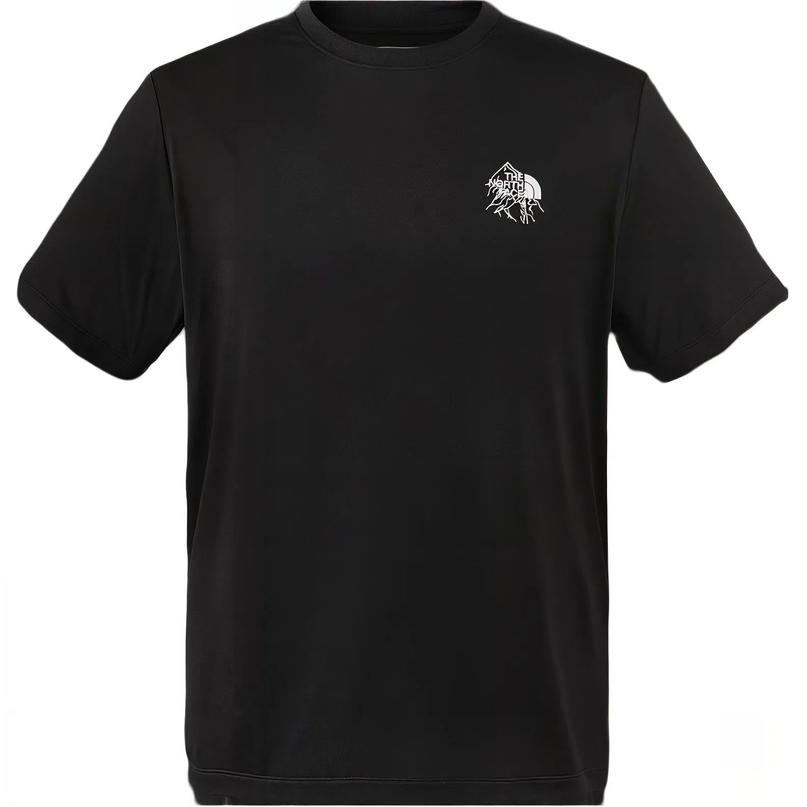 THE NORTH FACE logoT
