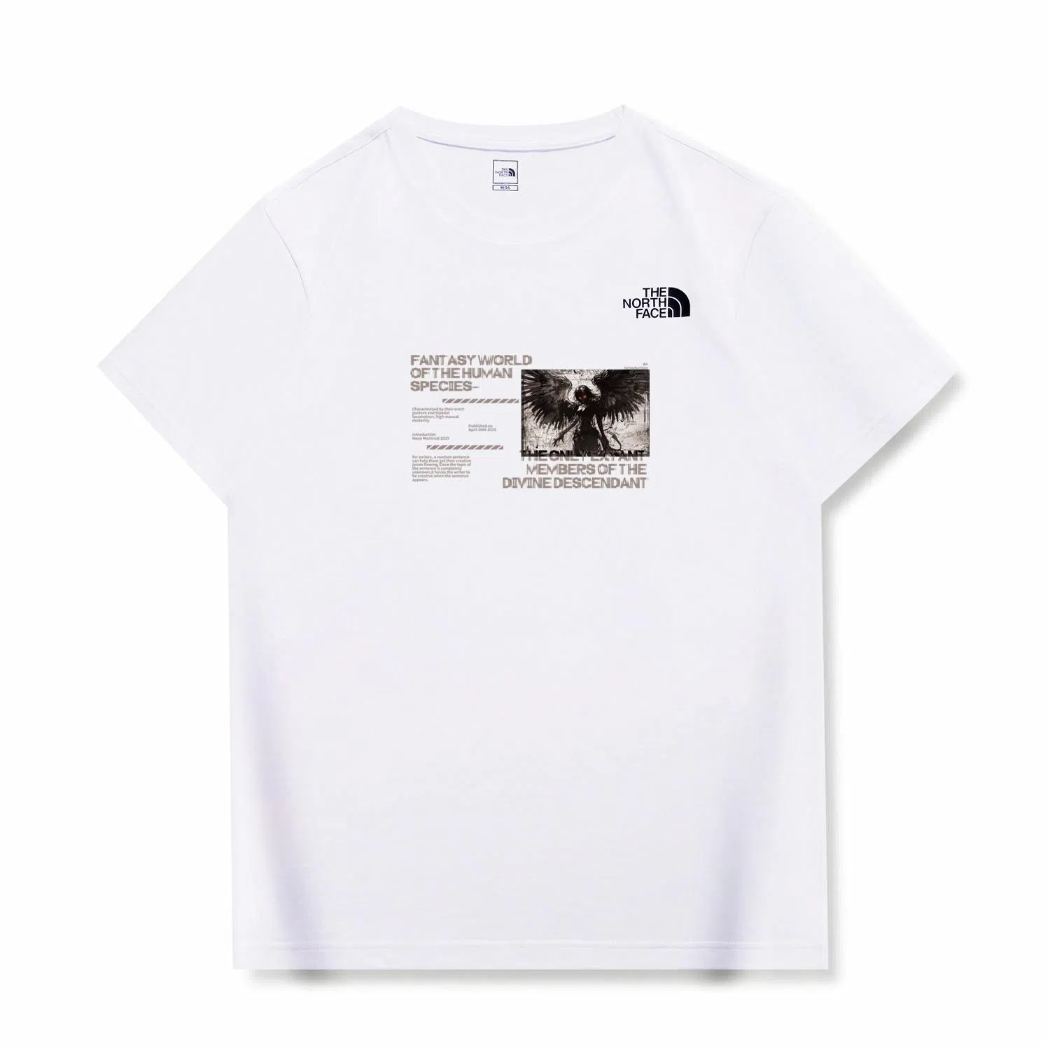 THE NORTH FACE VLogoT