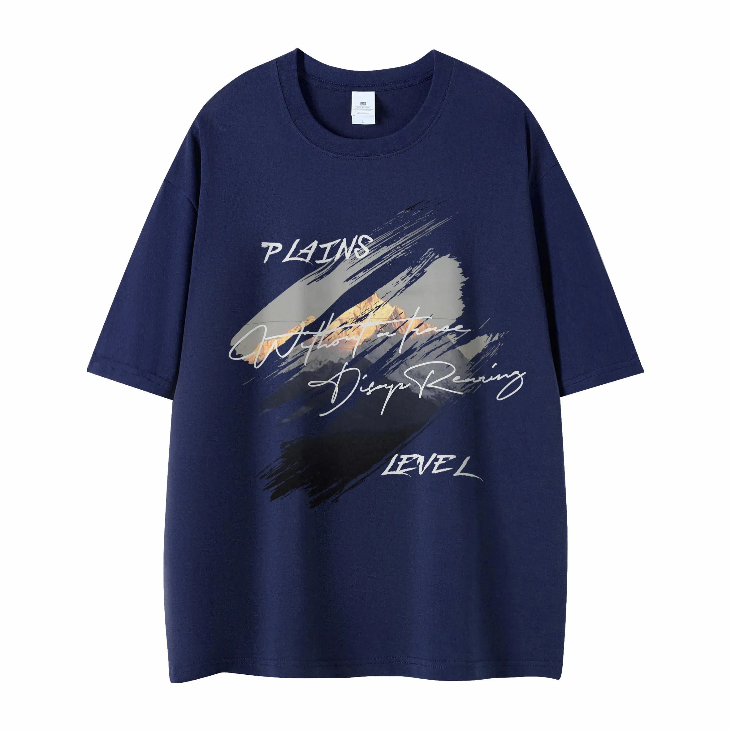 LEVEL T