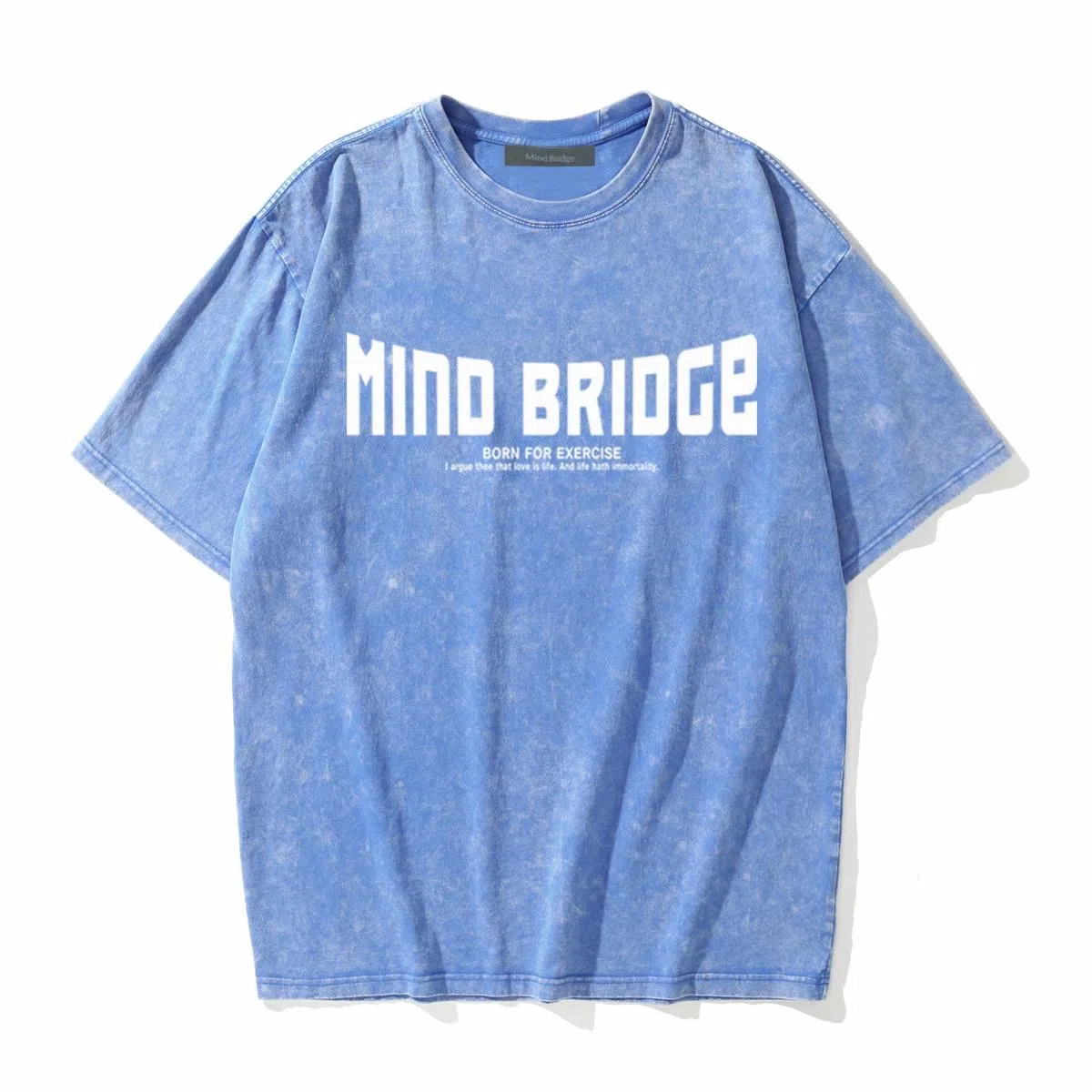 MindBridge T
