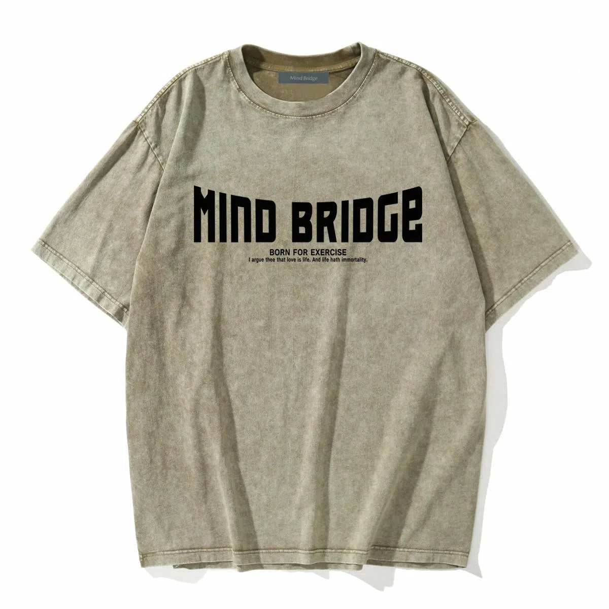 MindBridge T