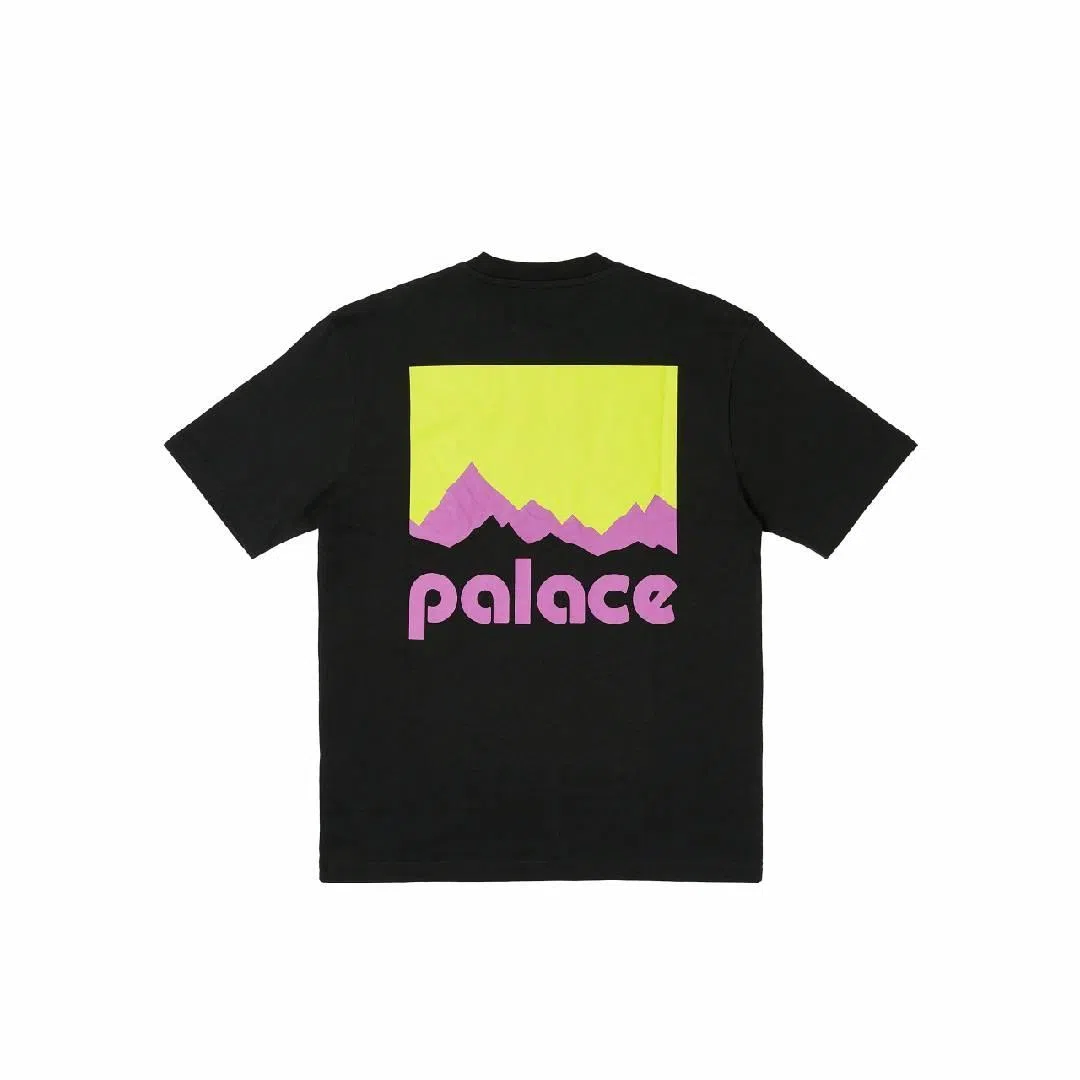 PALACE x Berghaus FW24 T