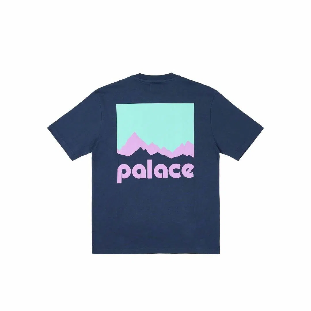 PALACE x Berghaus FW24 T