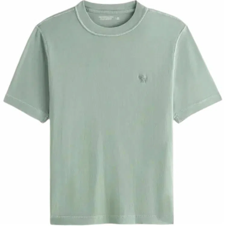 AbercrombieFitch T