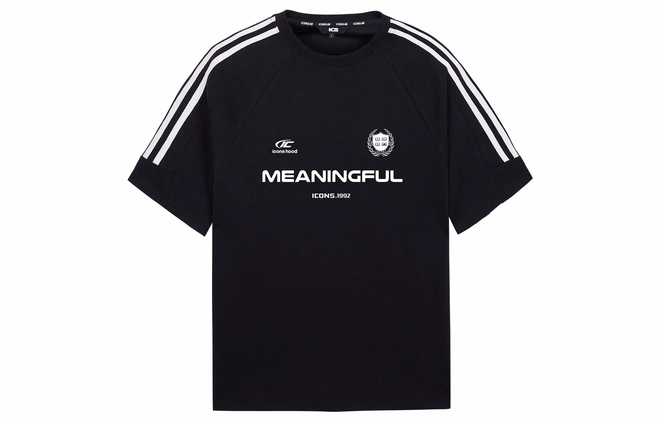 ICONS Lab T