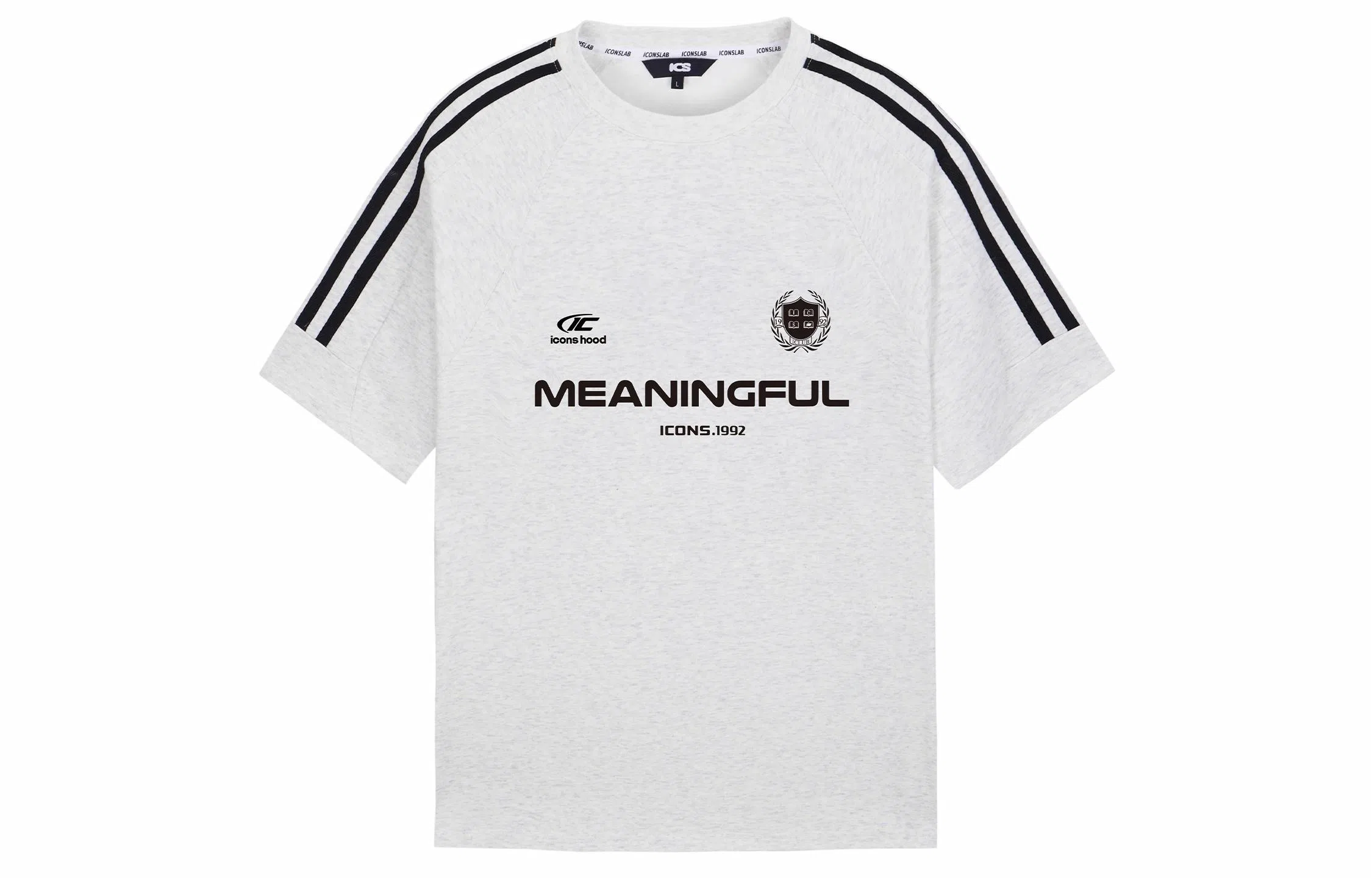 ICONS Lab T