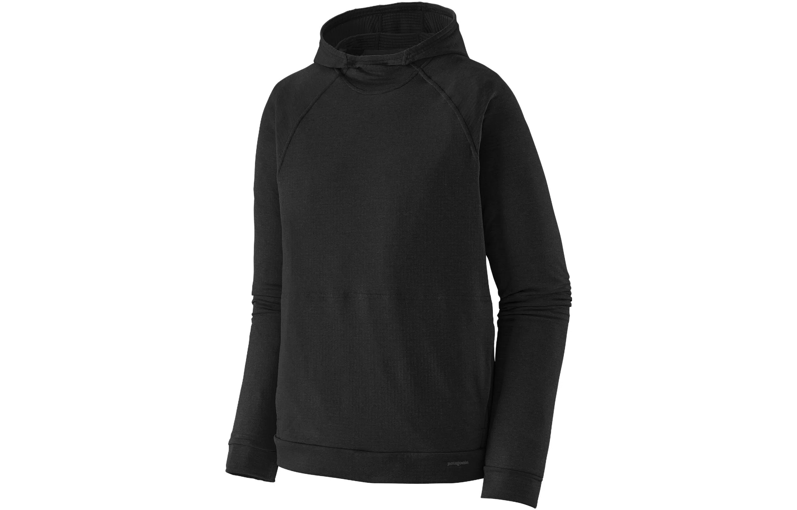 patagonia Capilene Thermal Hoody