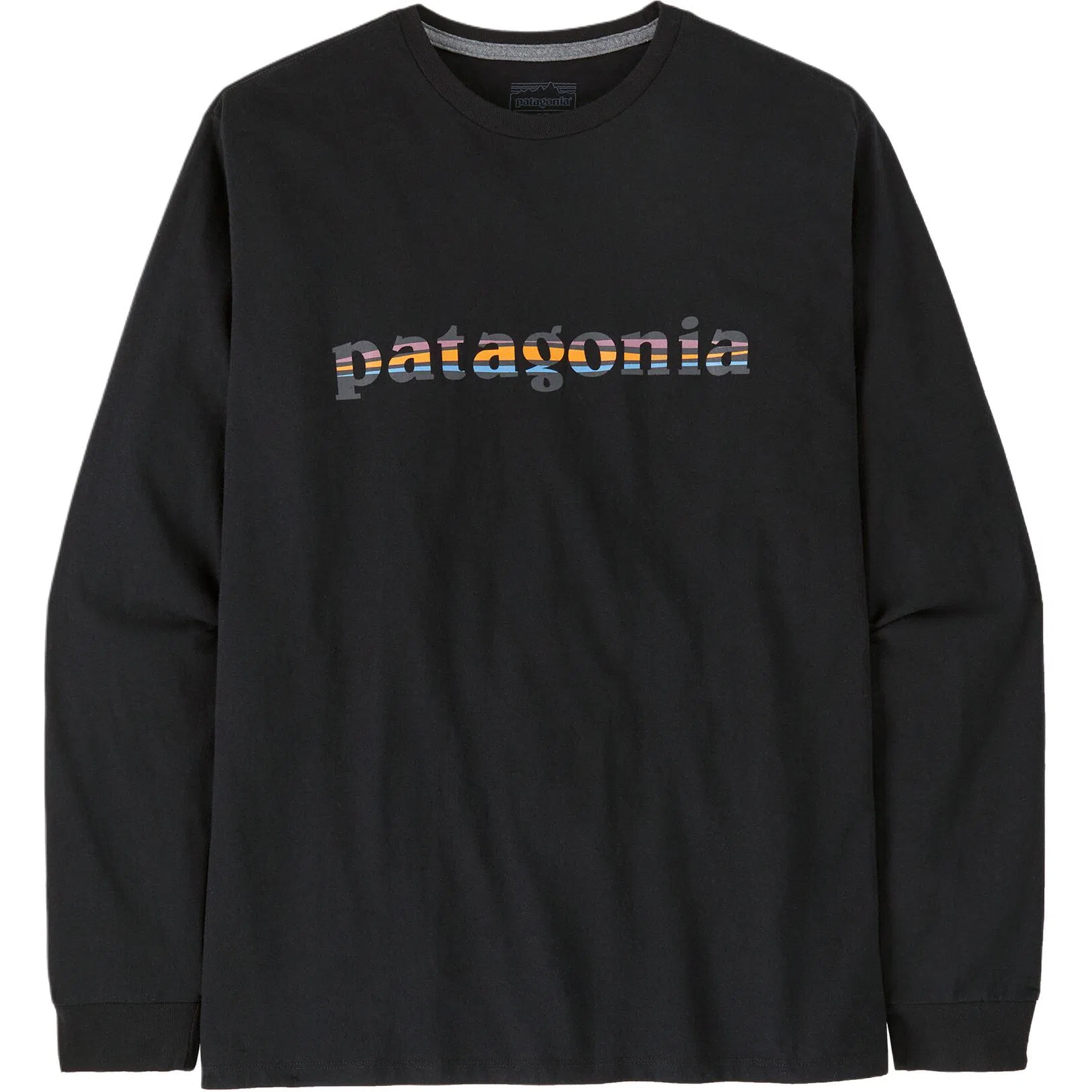 patagonia Long-Sleeved '73 Text Logo Responsibili T
