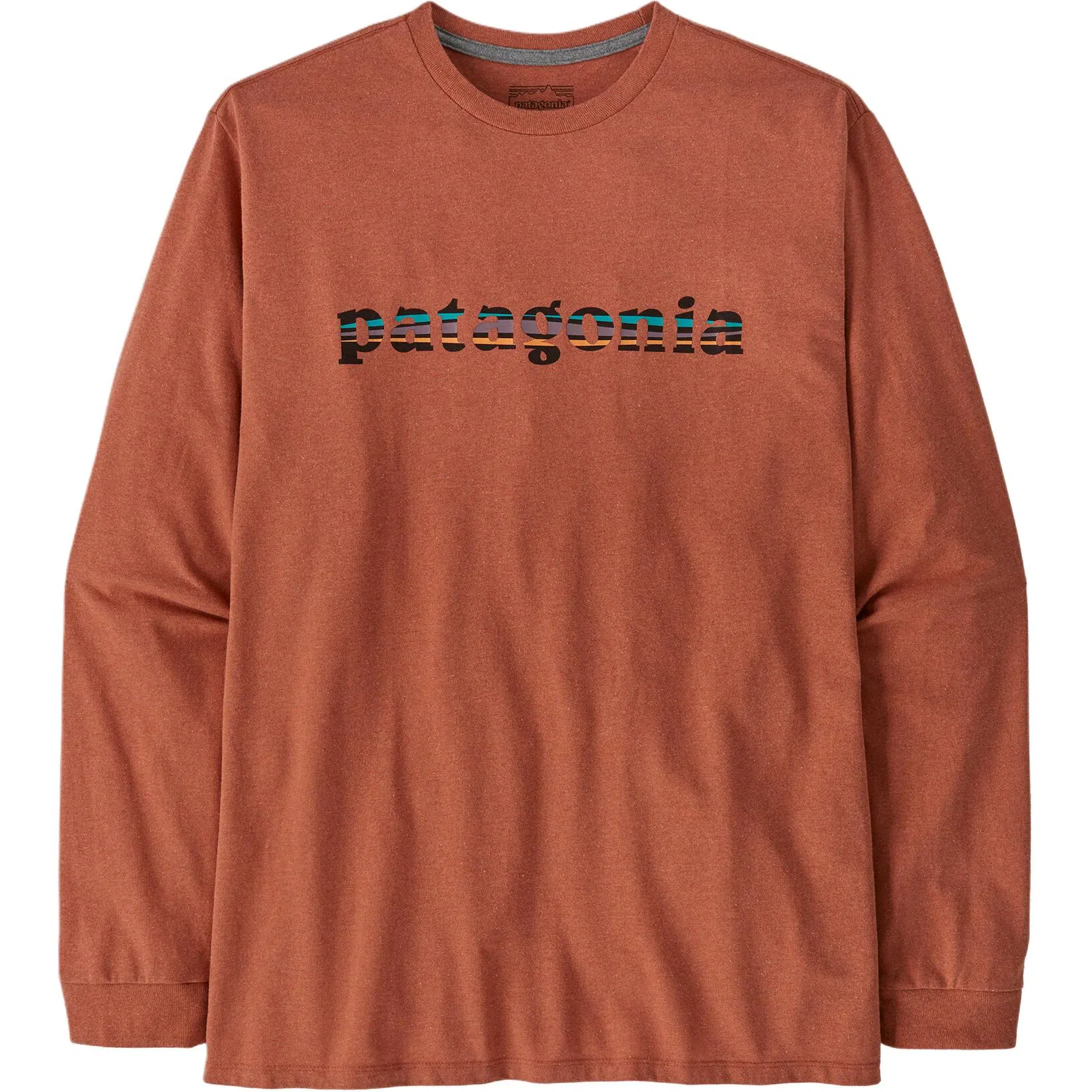 patagonia Long-Sleeved '73 Text Logo Responsibili T